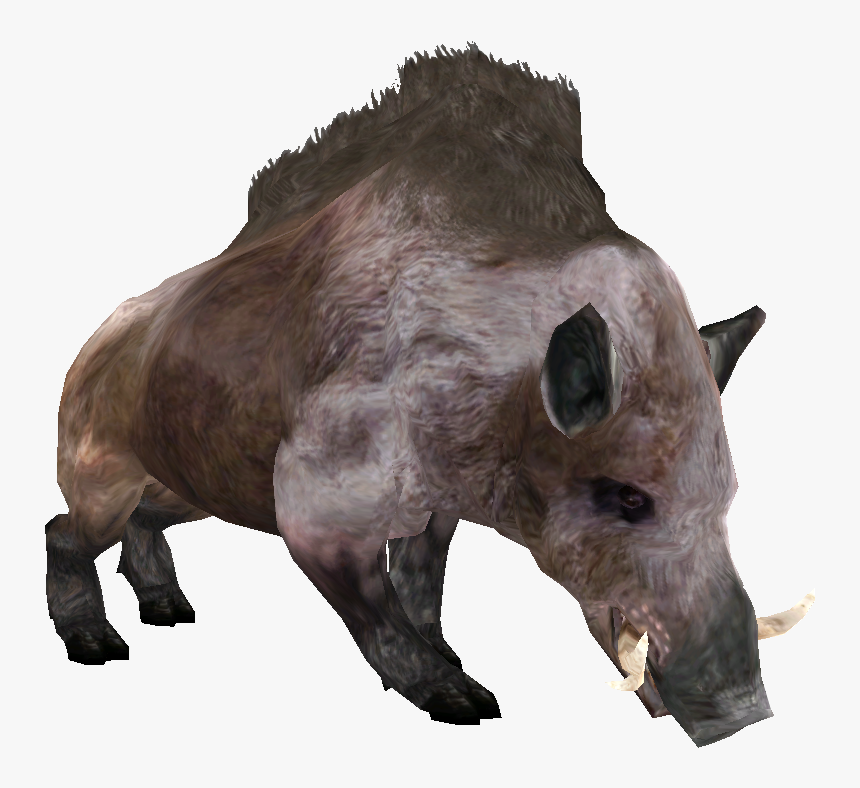 Beast Oblivian Boar - Morrowind Boar, HD Png Download