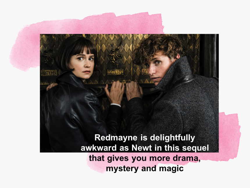 Fantastic Beast, HD Png Download