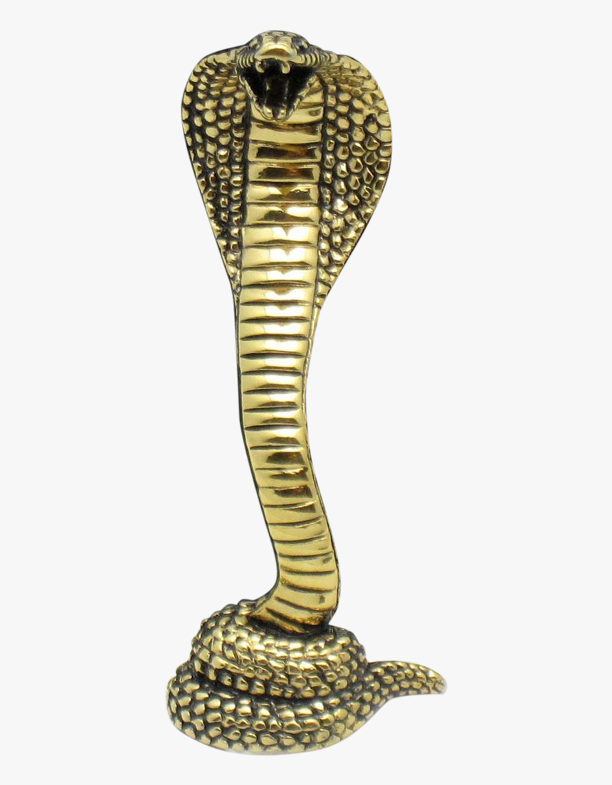 Download Cobra Snake Png Hd - Cobra Snake Transparent Background, Png Download