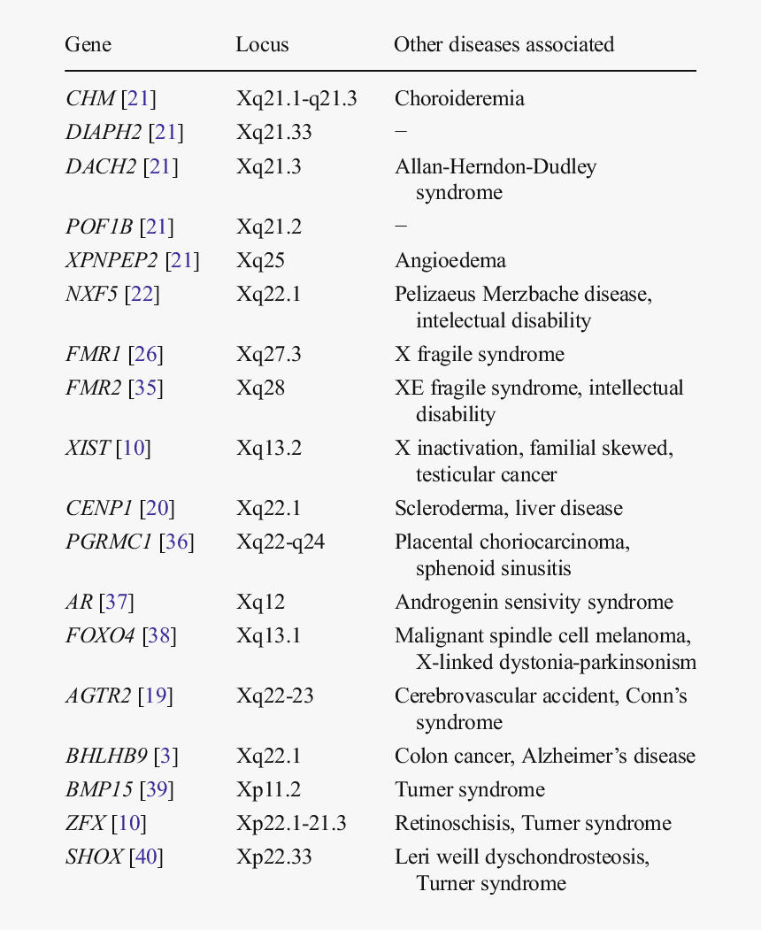 Screenshot, HD Png Download