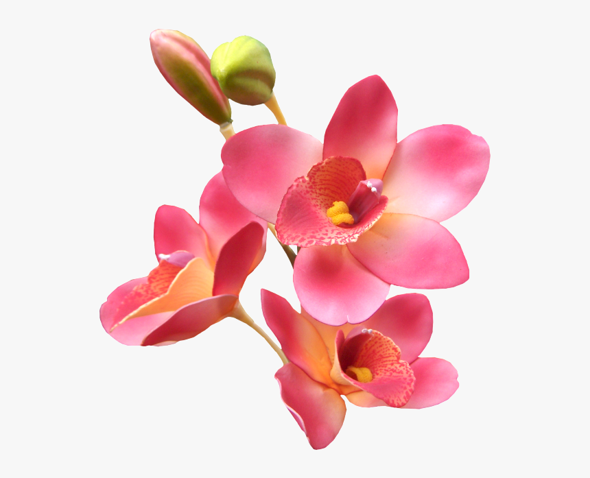 Detalles De Buenos Dias Con Flores, HD Png Download