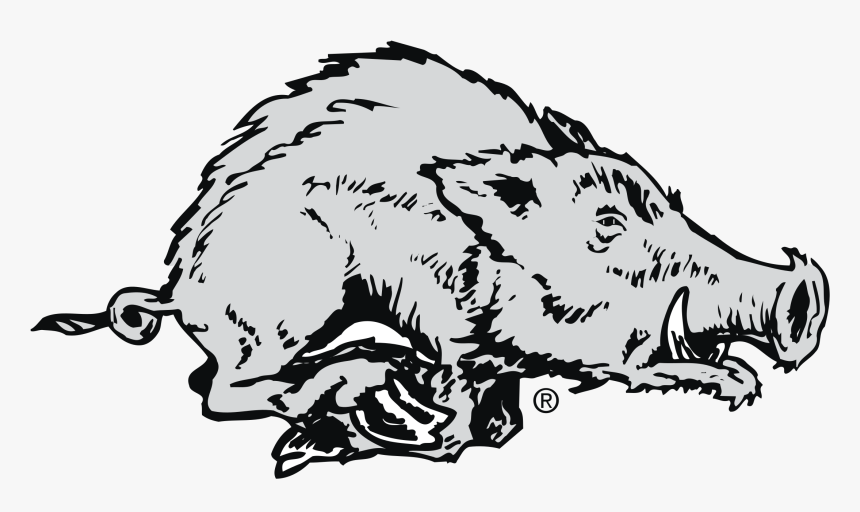 Arkansas Razorbacks, HD Png Download