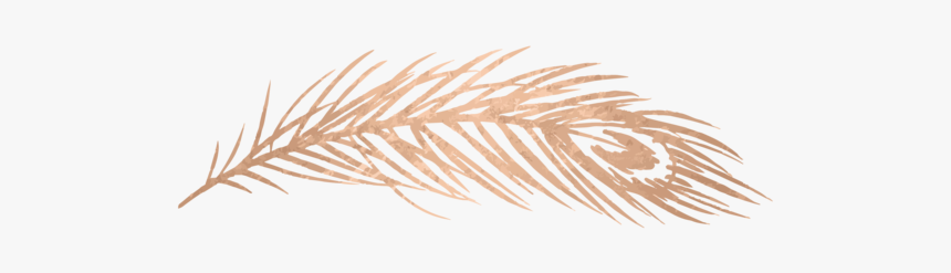 Leaf-01 - Illustration, HD Png Download