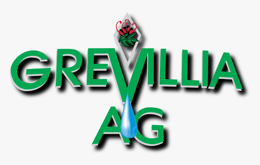 Graphic Design, HD Png Download