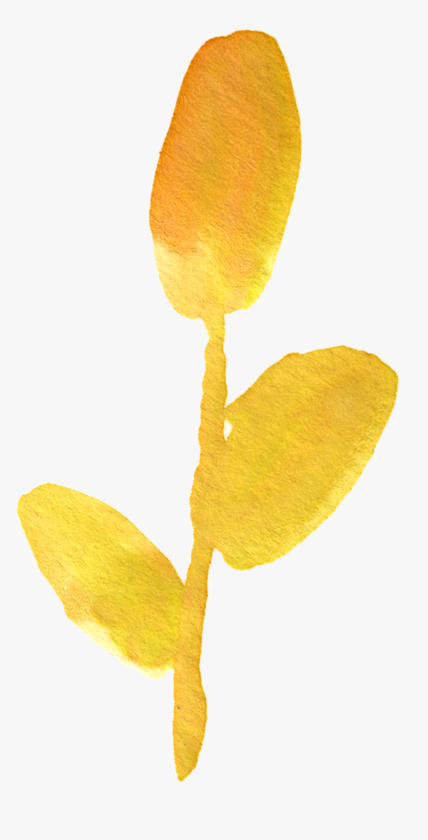 Orange Watercolor Flower Png Transparent, Png Download