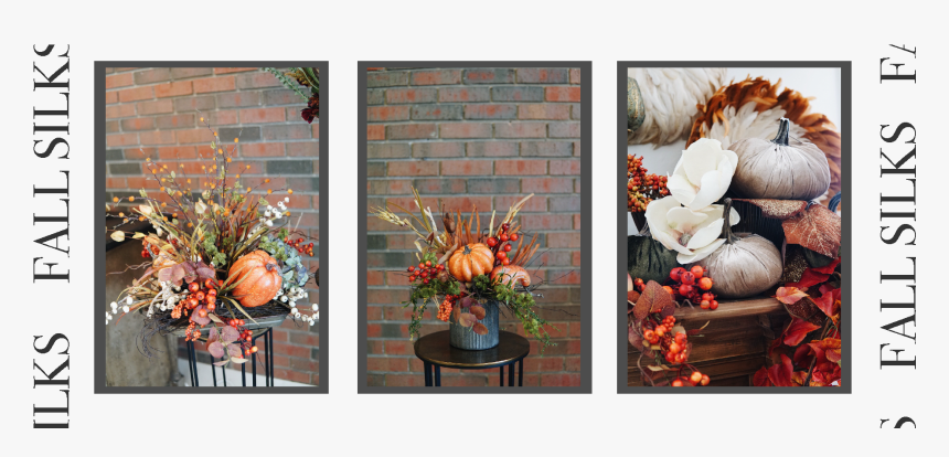 Garden Roses, HD Png Download