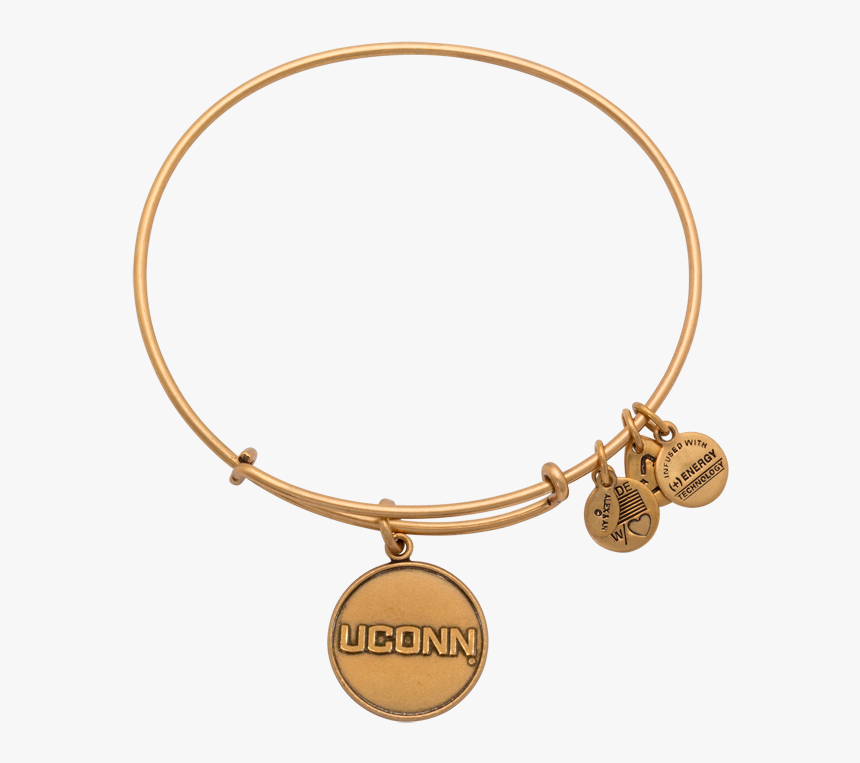 Bracelet, HD Png Download