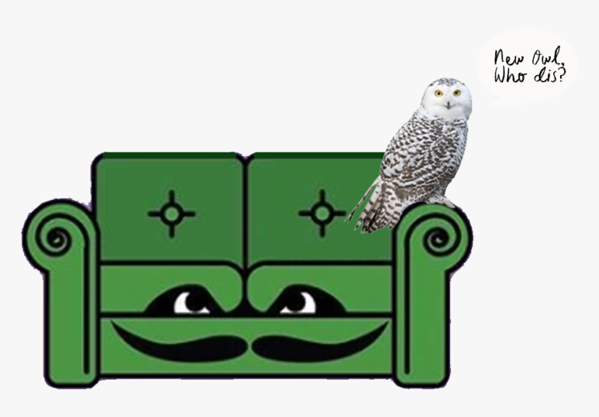 Couch - Snowy Owl, HD Png Download