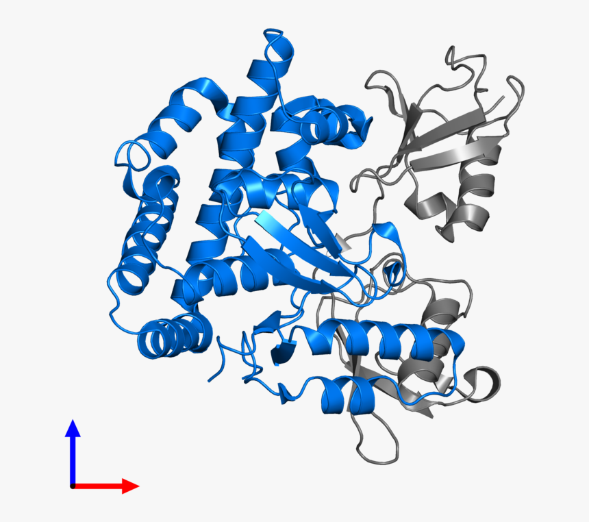 Graphic Design, HD Png Download