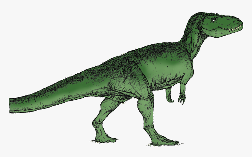 Torvoaurus - Dinosaurs Green, HD Png Download