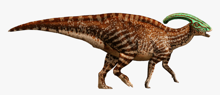 Parasaurolophus Detail Header - Parasaurolophus Jurassic Park Dinosaurs, HD Png Download