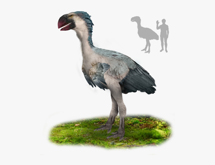 Gastornis, HD Png Download