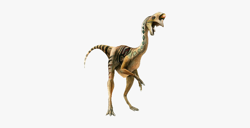 Oviraptor Transparent Background, HD Png Download