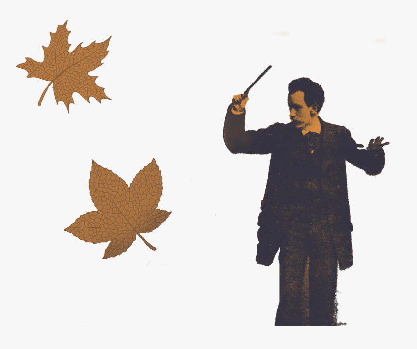 Maple Leaf, HD Png Download