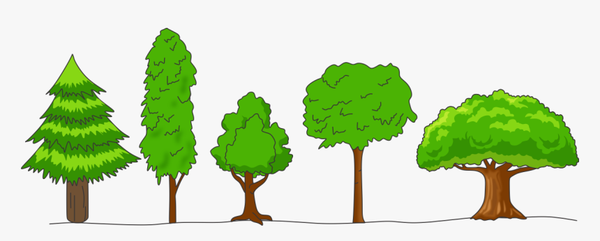 Crown Of Trees, HD Png Download