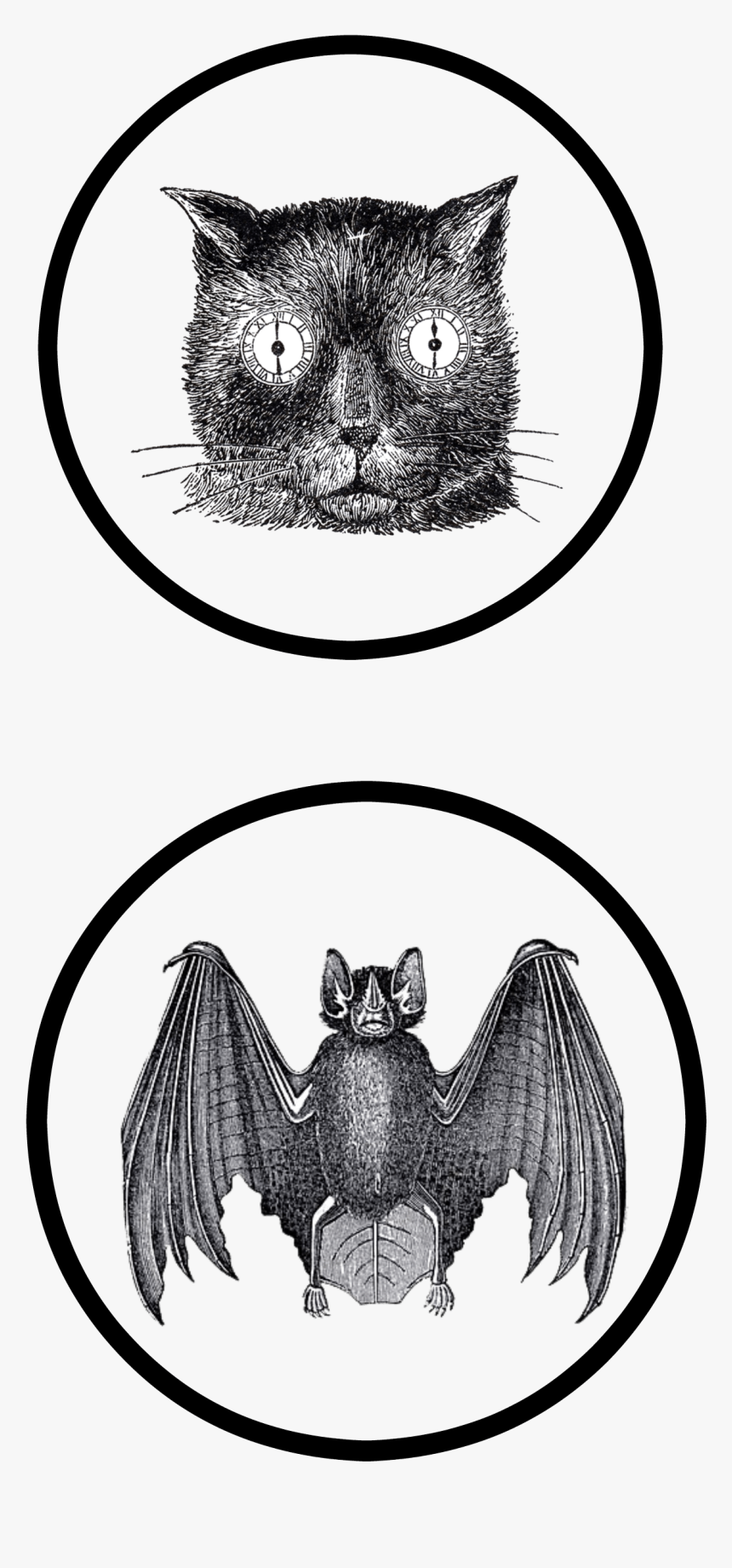 Slightly Coastal Halloween Printable Page - Illustration, HD Png Download