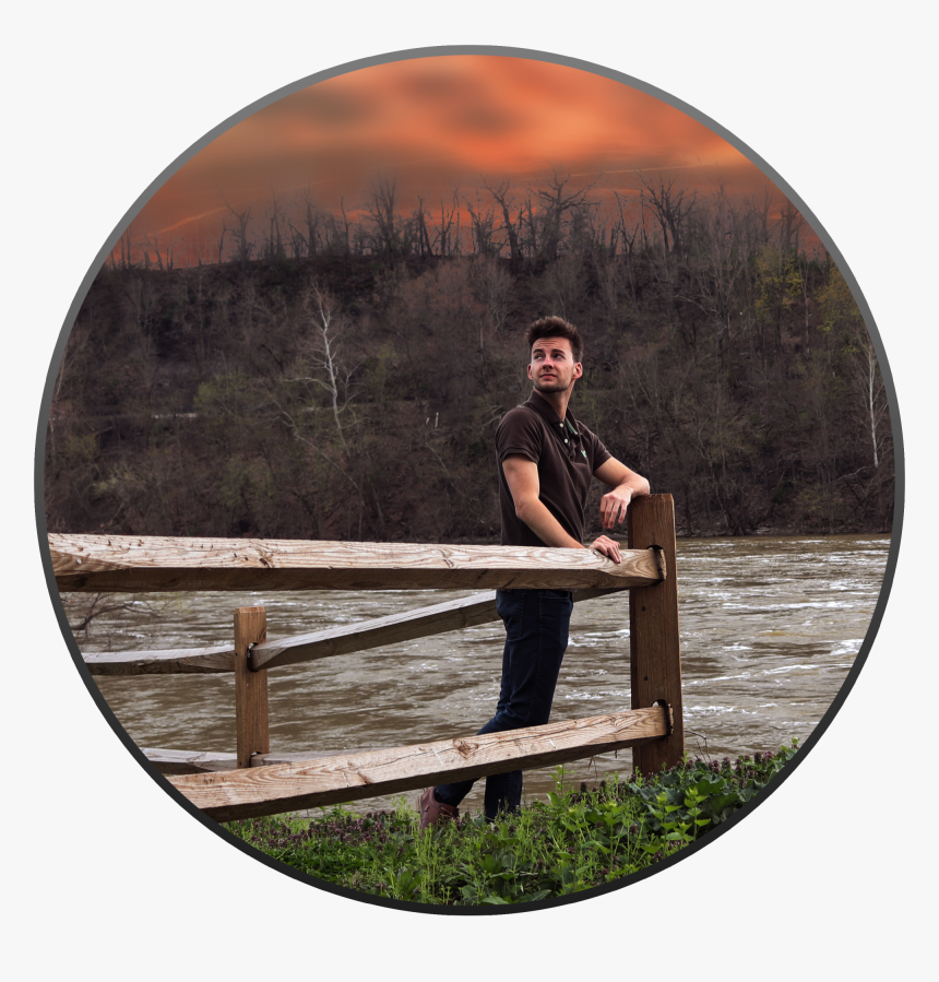 Pine, HD Png Download