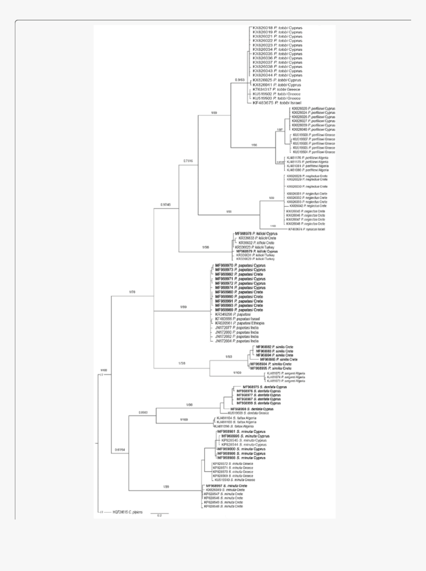 Diagram, HD Png Download