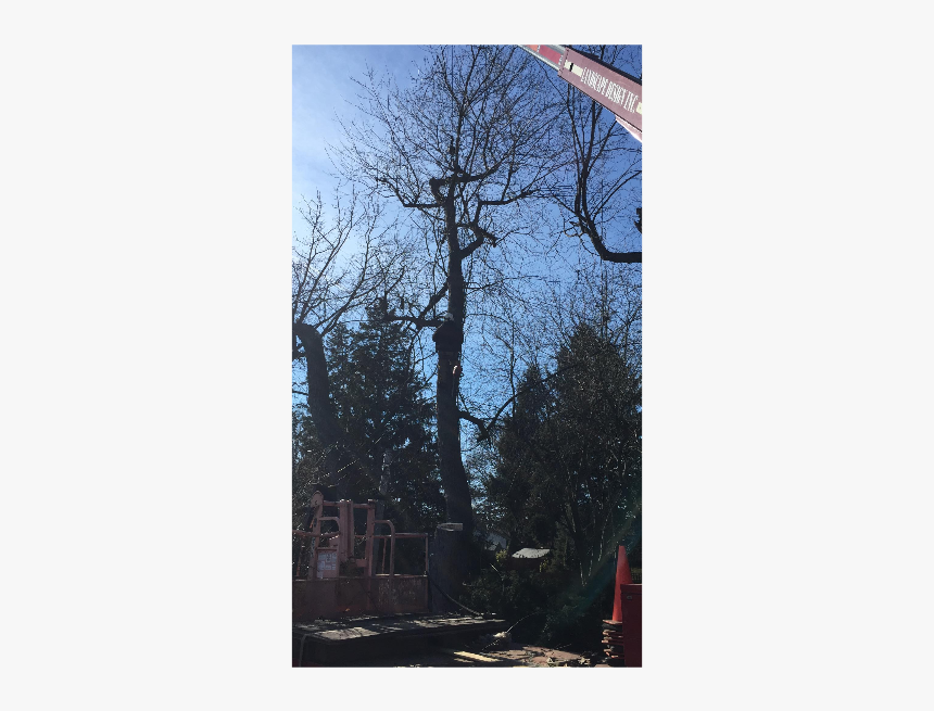 Architecture, HD Png Download