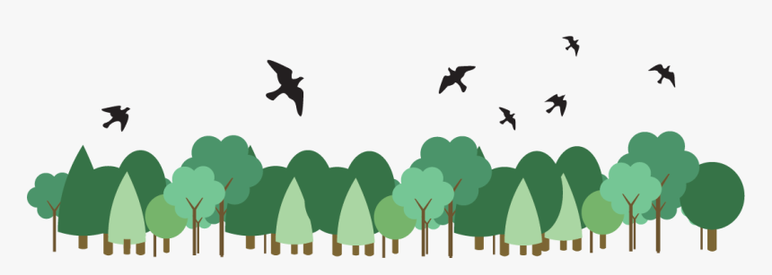 Transparent Tree From Above Png - Birds Above The Tree, Png Download