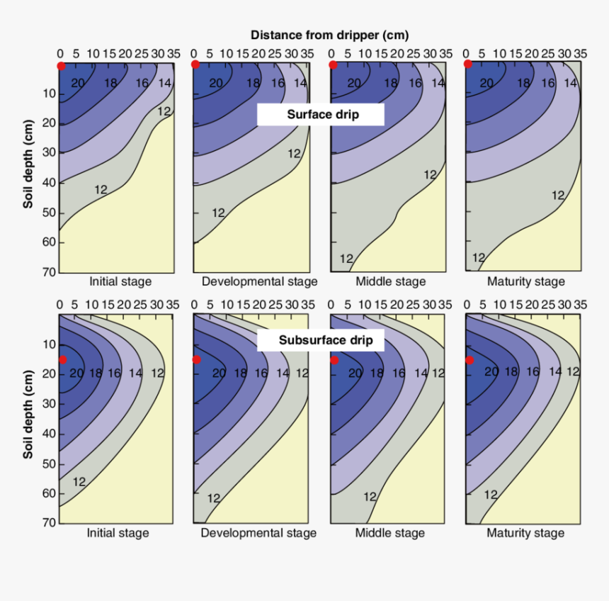 Water Distribution Under Drip Irrigation, HD Png Download