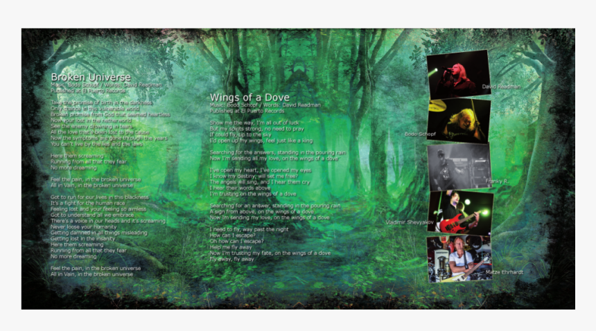 Rainforest, HD Png Download