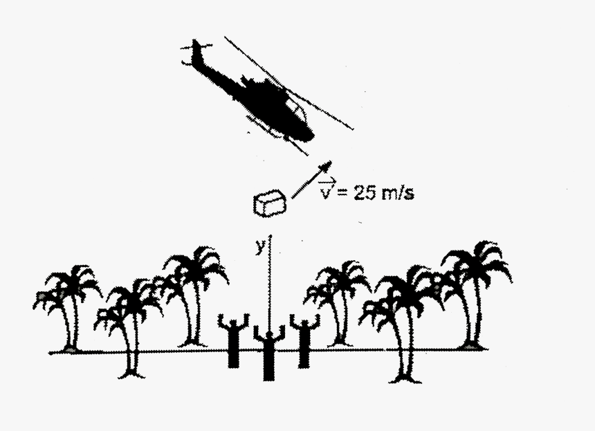 Palm Tree, HD Png Download