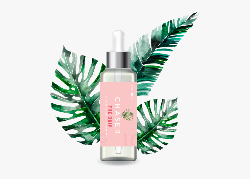 Cosmetics, HD Png Download