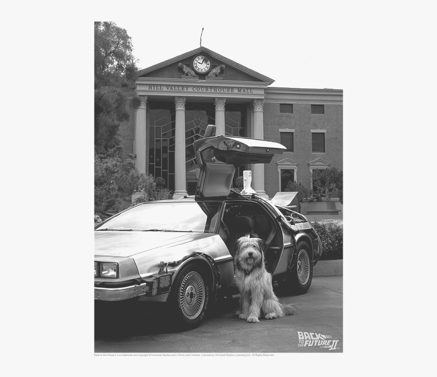 T Shirt Back To The Future Einstein, HD Png Download