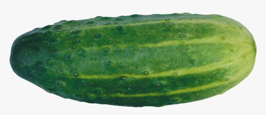 Cucumber Png Image - Transparent Background Cucumber Clipart Transparent, Png Download