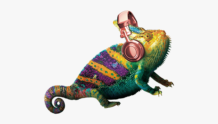 Common Chameleon, HD Png Download
