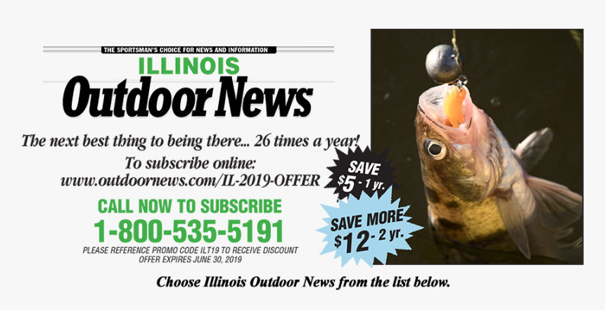 Goldfish, HD Png Download