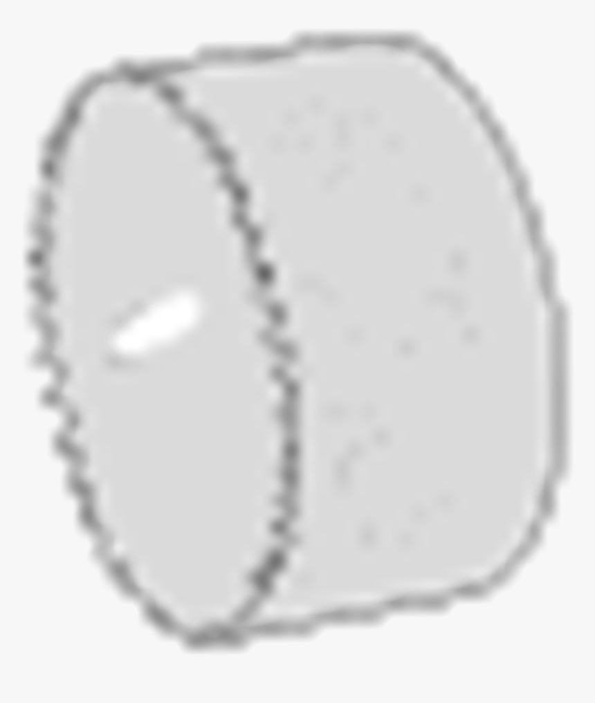 Hole Saw, HD Png Download