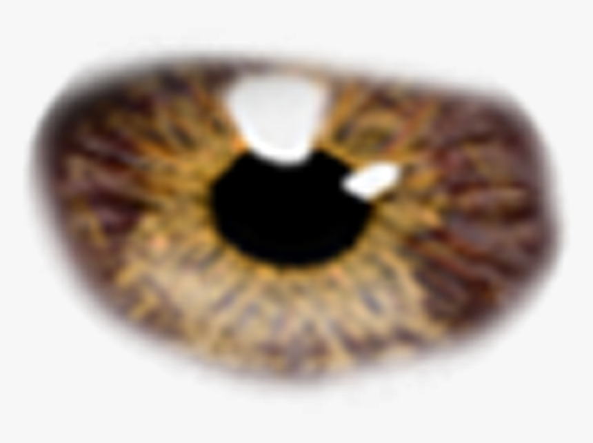 Close-up, HD Png Download
