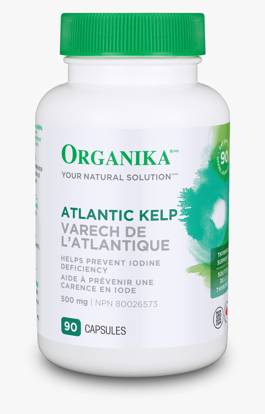 Organika Alpha Lipoic Acid 100mg 60capsules, HD Png Download