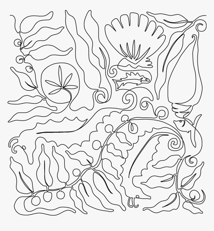 Seahorse Shells And Kelp - Line Art, HD Png Download