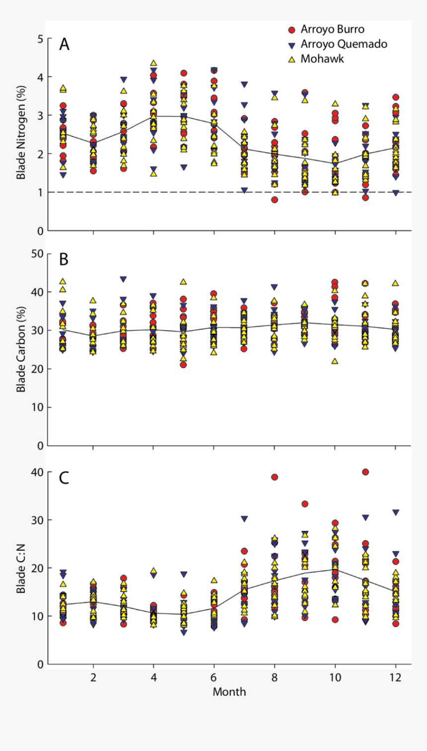 Number, HD Png Download