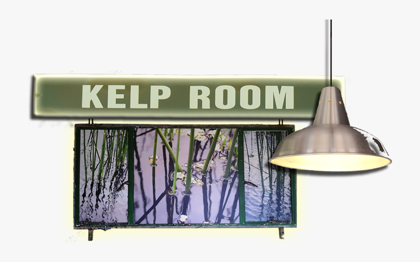 Kelp Room Title - Billboard, HD Png Download