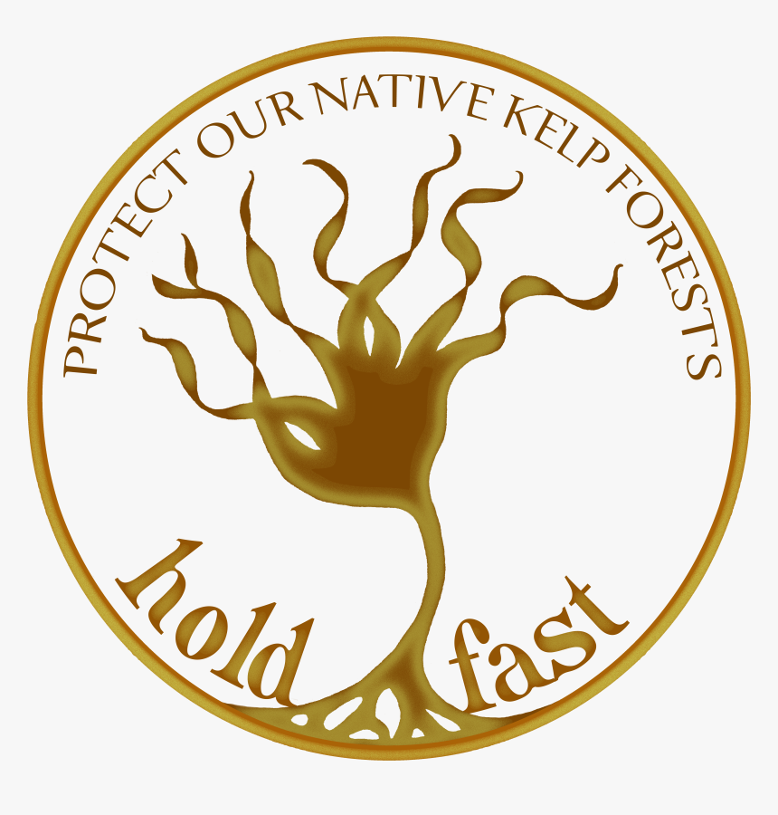 Kelp Png, Transparent Png