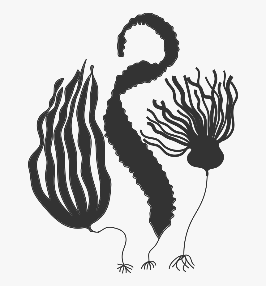 Illustration, HD Png Download