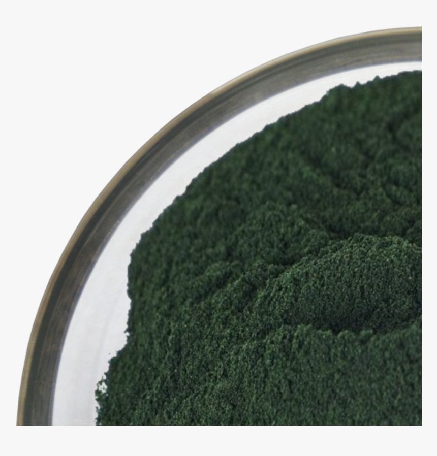 Certified Dried Kelp Powder For - Grass, HD Png Download