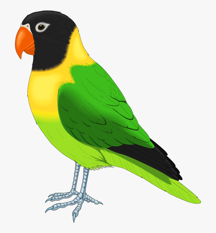 Pet Bird Clipart, HD Png Download
