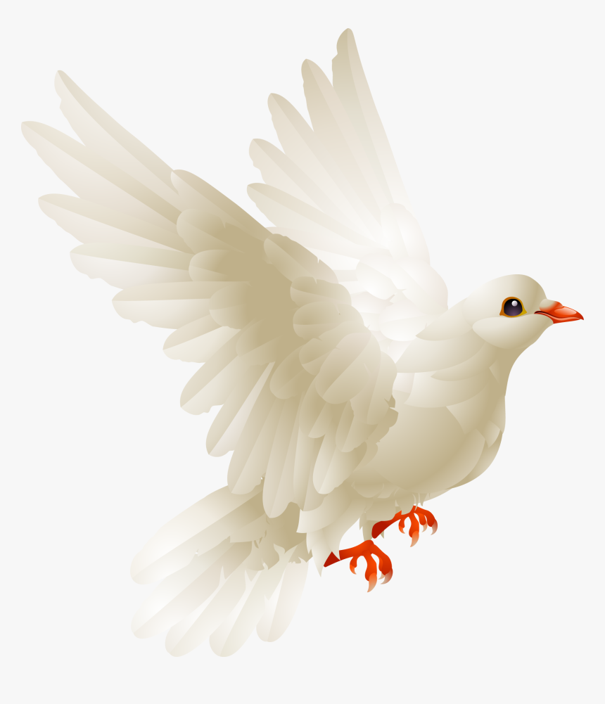 Flying Love Birds , Png Download - Imágenes De Palomas Mensajeras, Transparent Png