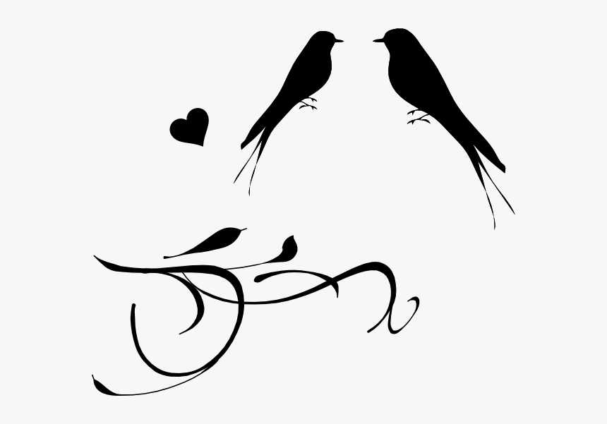 Transparent Clipart Of Birds - Wedding Clipart Love Bird, HD Png Download