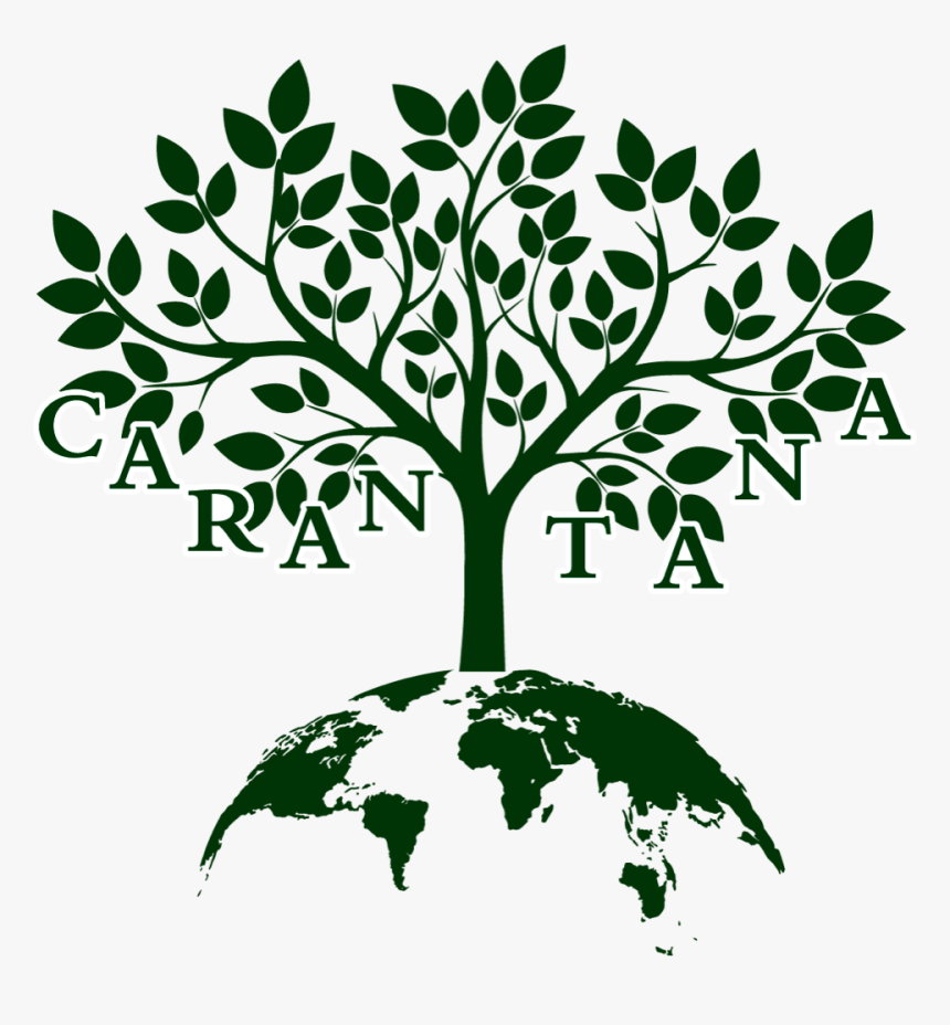 Transparent Website Under Construction Clipart - Sara Evans The Barker Family Band, HD Png Download