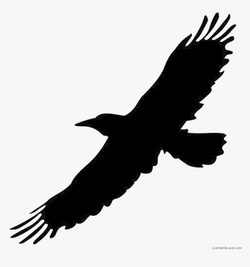 Clip Art Crow Bird Image Portable Network Graphics - Flying Black Bird Png, Transparent Png