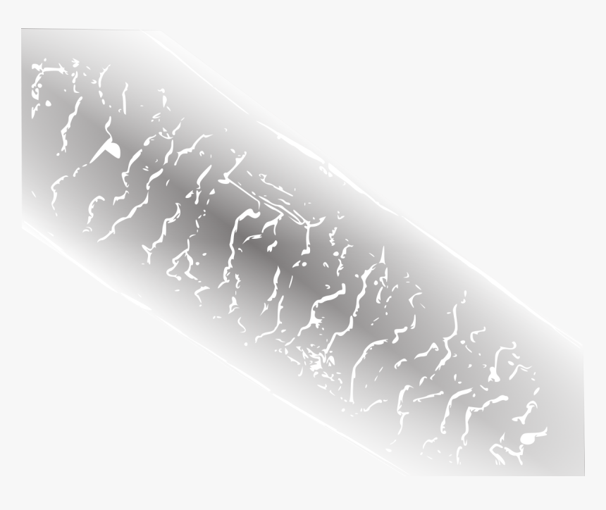 Transparent Hair Strands Png Transparent Hair In Microscope Png
