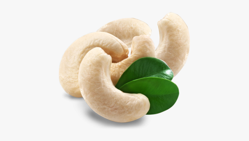 Cashew Png Transparent Images - Kaju 210, Png Download