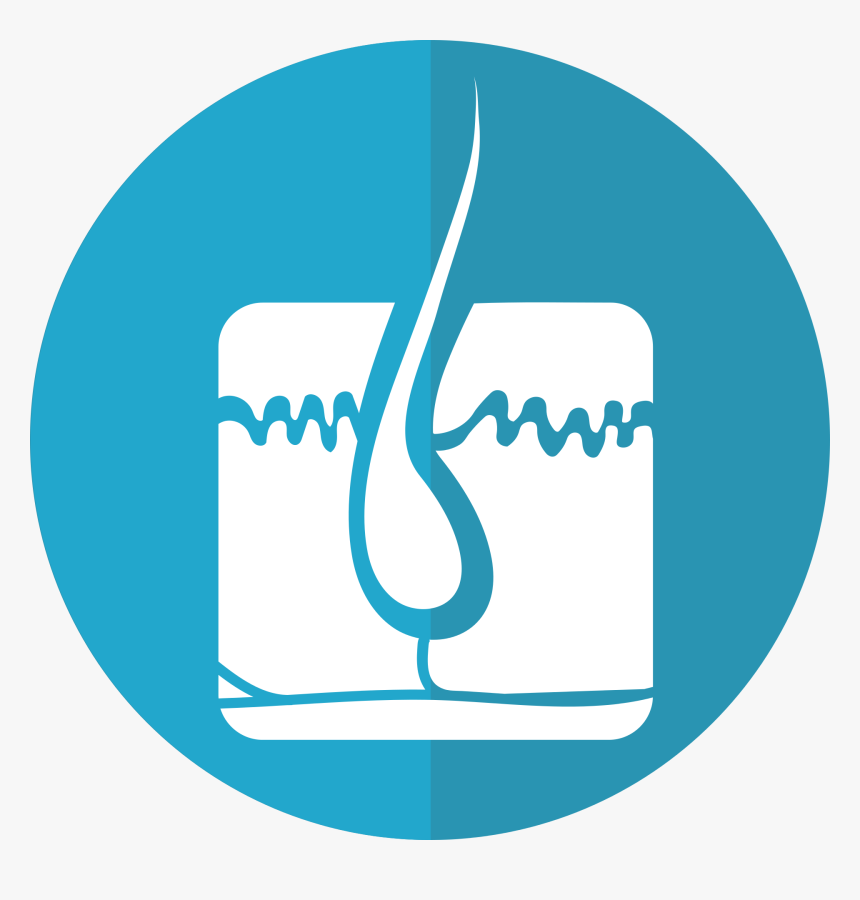 Hair Follicle Drug Test - Hair Clone Dp Cell, HD Png Download