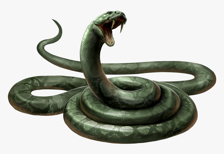 Snake Png Png Download Nagini Harry Potter - Nagini Harry Potter, Transparent Png